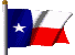 texas1.gif (6994 bytes)